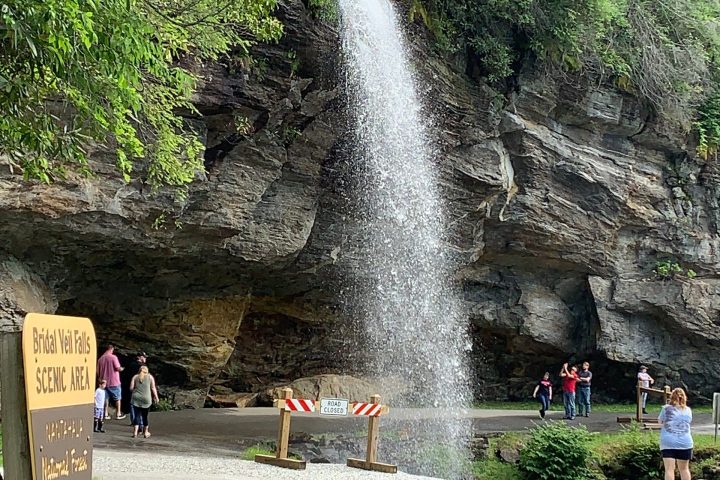 a group of people in a park