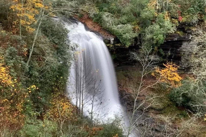 a waterfall surrounded by trees