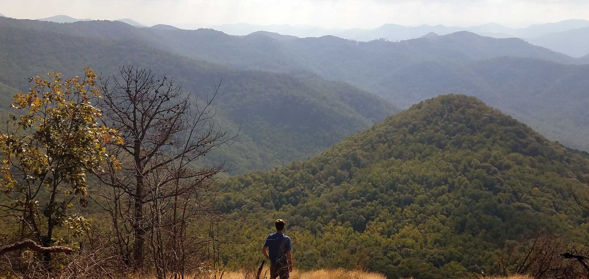 a person standing in a field with a mountain in the background