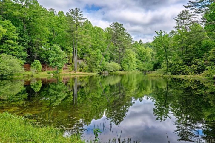 a body of water surrounded by trees