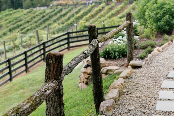 a group of giraffe standing on top of a wooden fence